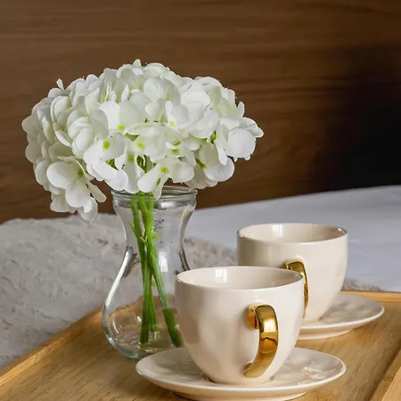 Elegant With Parking & Ac By Renters Katowice