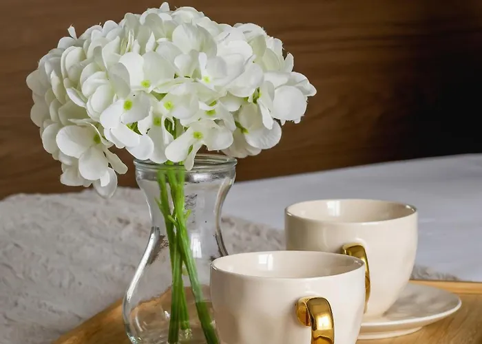 Elegant With Parking & Ac By Renters Katowice